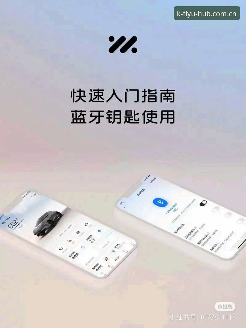 K体育手机版实用指南：从下载到登录的完整操作手册