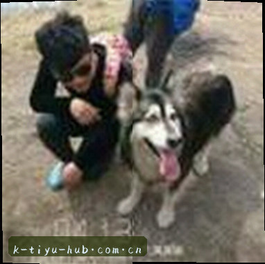 王磊