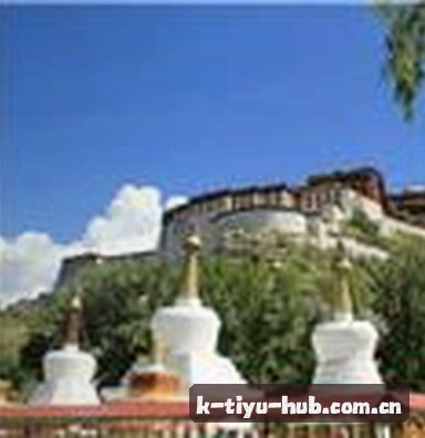孙丽
